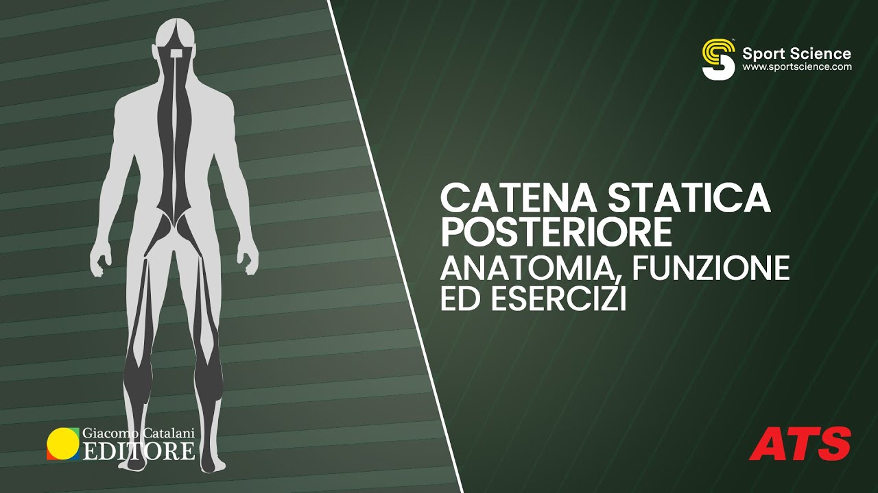 CATENA STATICA POSTERIORE: Anatomia, Funzioni Ed Esercizi - YouTube