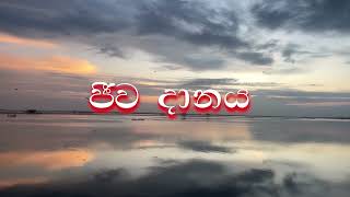 ජීව දානය | බුද්ධ පූජාව | පිං පවු කතන්දර | නිවැරදි මග | ගුරුගොඩැල්ලේ ධම්මසිද්ධි හිමි | @dhammasiddhi