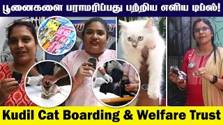 Indian Cats | Persian Cats | Cat Care Tips | Important Vaccine for Cats | How to Maintain a Cats