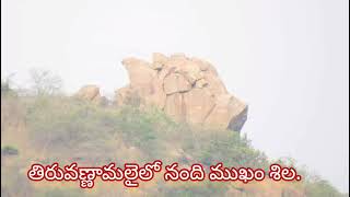 తిరువణ్ణామలైలో నంది ముఖం శిల #arunachalam #tiruvannamalai