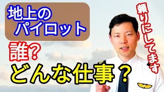 地上のパイロット？エアラインパイロットが解説【MichaelAir/切り抜き】