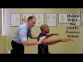 manual muscle test mmt deltoid