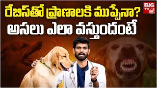 రేబీస్ ఎందుకు ప్రమాదం? Why Rabies Is More Dangerous | Pet Dogs | Dog Bite Treatment | BIG TV