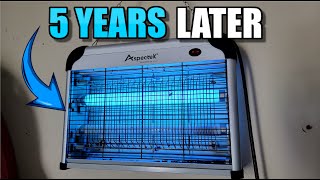 Aspectek Electronic Bug Zapper Review | Owned For 5 Years: Link In Description #commissionsearned