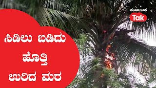 Coconut Tree Catches Fire After Lightning Strikes : ಸಿಡಿಲು ಬಡಿದು ಹೊತ್ತಿ ಉರಿದ ಮರ |Koppal |