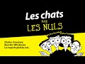 LES CHATS par Les Nuls | Canal+