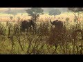 Uganda; Sustainable Tourism