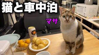 【猫と車中泊】自給自足の車中飯！居酒屋マサの新メニュー｜新しいキャンピングカーに家電を引っ越し｜ちょうどいいポータブル電源【ALLPOWERS　R1500】