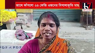 মৎস্যজীবীদের জালে ফাঁসলো  ২৩ কেজি ওজনের বিশালাকৃতির মাছ