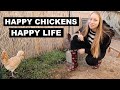 Do THIS And Your Chickens Will Love You