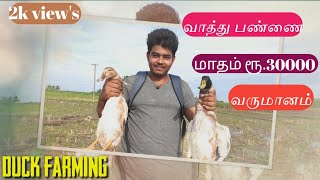 வாத்து பண்ணை வளர்ப்பு மாதம் ரூ.30000 வருமானம்😱!வளர்க்கும் வீதம் மற்றும் பராமரிப்பு/Duck farming