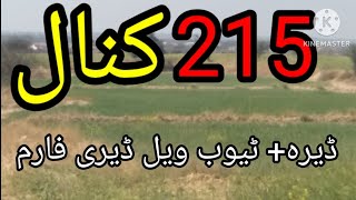 New Land for sale in chakwal Agriculture Land for sale in chakwal AL Karam Property Chakwal