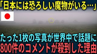 【海外の反応】「日本には恐ろしい魔物がいる。。」たった1枚の写真が世界中で拡散された理由【総集編】