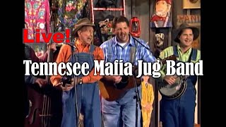 TENNESSE MAFIA JUG BAND Live!