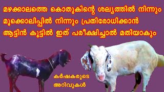 ആട് വളർത്തുന്നവർ ഇക്കാര്യങ്ങൾ അറിഞ്ഞിരിക്കണം Goat Farming tips in Malayalam 2020 |YouMedia Malayalam