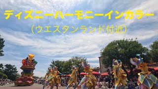 ディズニーハーモニーインカラー/Disney Harmony in Color　定点撮影