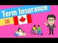 How Term Insurance Works In Canada? | Insurance 101