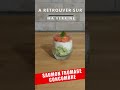 verrine de saumon fromage concombre entree simple pour noel