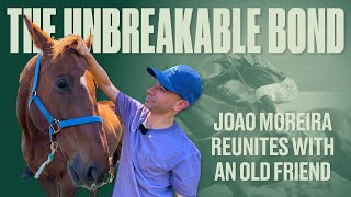 MAGIC MOMENT | Joao Moreira Reunited with his Long-Lost ‘Gentle Giant’