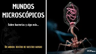 PASEO al Mundo MICROSCÓPICO | De lo macro a lo micro | Documental | OCIO Beta