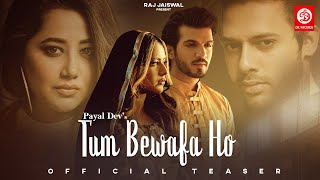 Tum Bewafa Ho Teaser | Payal Dev, Stebin Ben, Kunaal V Ft.Arjun B,Nia S, Navjit Buttar | DRJ Records