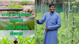 पौधों को कब और कितना पानी देना चाहिए । crop irrigation layout