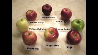 Apples 101 - About Pacific Rose Apples