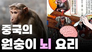 살아있는 원숭이의 뇌를 숟가락으로 퍼먹는다?