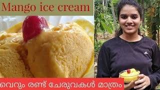 homemade mango icecream #പാലും മാമ്പഴവും കൊണ്ട് ഇനി മിക്സിയിൽ ഉണ്ടാക്കാം#Mango ice cream