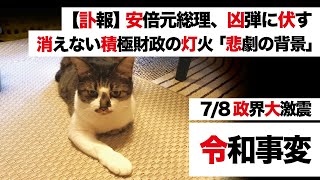 【訃報：安倍晋三元総理 凶弾に伏す 7/8令和事変】消えない積極財政の灯「緊縮財政と戦った8年8ヶ月」悲劇の背景【10万円一律給付 持続化給付金 特例貸付 雇調金 休業支援金】