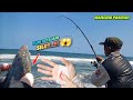 🔴 INCIDENT...😱⁉️ Suka Duka Mancing Di Pantai || Mancing Pasiran