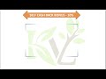 kv lions marketing plan kv lions business plan mlm business 2025 best mlm plan in india