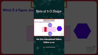 Nets of 3-D Shape | Hexagonal Prism
