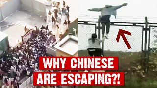 Why Chinese people are escaping in fear?!