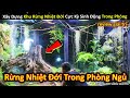 Siêu Tổng Hợp Series Xây Dựng Khu Rừng Nhiệt Đới Triệu Đô Trong Phòng Ngủ | Review Giải Trí Đời Sống