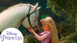 Rapunzel Ganha de Maximus | Disney Princesa