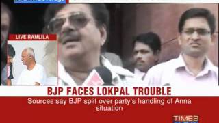 BJP faces Lokpal trouble