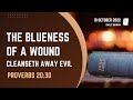 Proverbs 20:30 | The Blueness Of A Wound Cleanseth Away Evil | Daily Manna