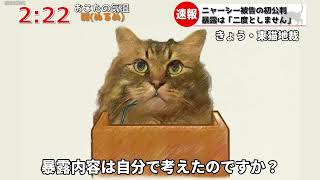 暴露動画配信ニャーシー被告の初公判「正直、しんどかったです」【猫アテレコ】【猫ニュース】