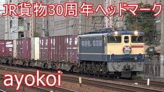 国鉄色 EF65 2139 JR貨物30周年ヘッドマーク 【4K】