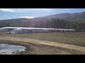 Biogas Plant Management Crew - Feeding The Cows