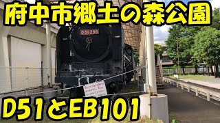 【鉄道の旅】府中市郷土の森公園のD51と、井の頭線を走ったことのあるEB101