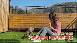 가평 애견 펜션 | 뷰좋고 공기좋은 독채 복층 테라스 댕댕이 펜션 퍼플 🐶