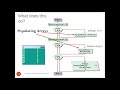 Visual Basic Programming - Intro to Arrays - Data Structure Concepts