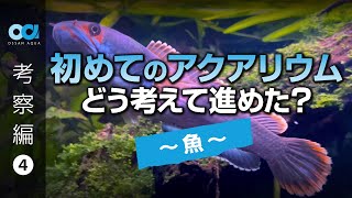 【考察編4・魚】初めてのアクアリウムで、魚の選択や育成環境をどう考えて進めたか？