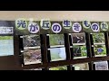 公園 バードサンクチャリ　2020年6月7日