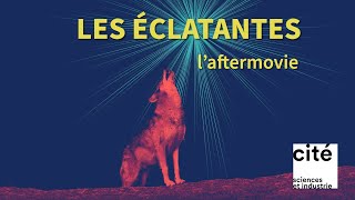 Les Éclatantes - l'aftermovie