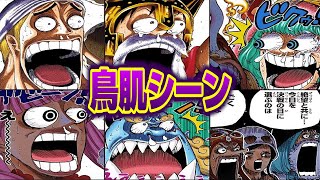 「ONEPIECEの初見で鳥肌が立ったシーン」に対する読者の反応【ワンピース】