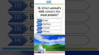 Which animal’s milk contains the most protein? #knowledge #knowledgeispower #knowledgeable