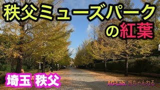 秩父ミューズパークの紅葉